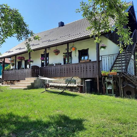 Casa Bunicilor Βίλα Ciprian Porumbescu Εξωτερικό φωτογραφία