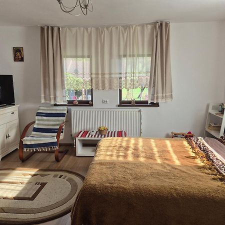 Casa Bunicilor Βίλα Ciprian Porumbescu Εξωτερικό φωτογραφία