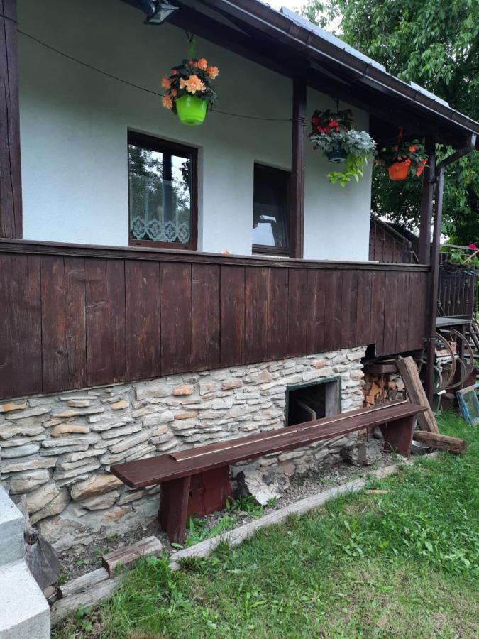 Casa Bunicilor Βίλα Ciprian Porumbescu Εξωτερικό φωτογραφία