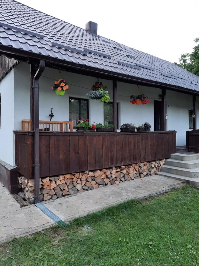 Casa Bunicilor Βίλα Ciprian Porumbescu Εξωτερικό φωτογραφία