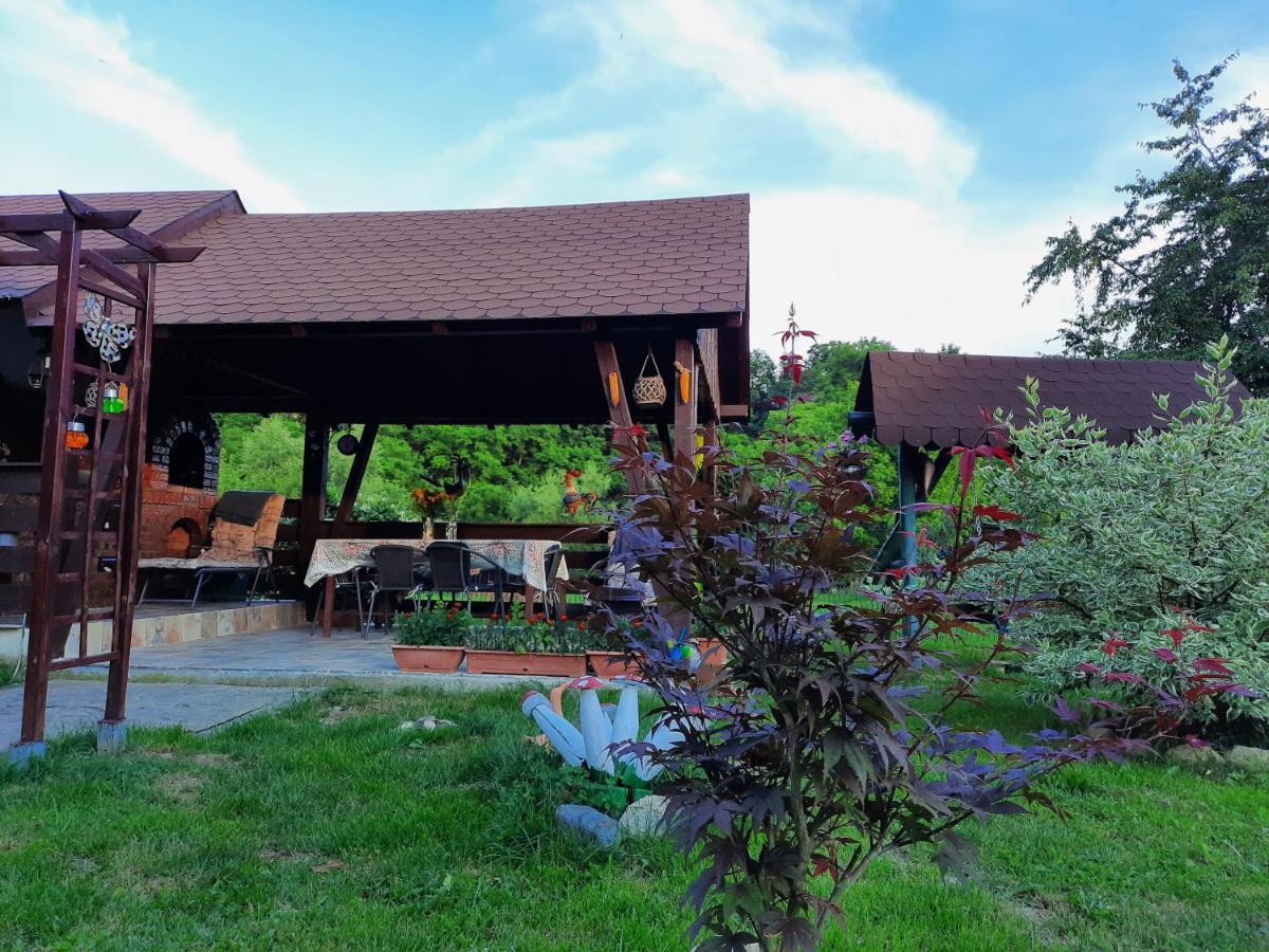 Casa Bunicilor Βίλα Ciprian Porumbescu Εξωτερικό φωτογραφία