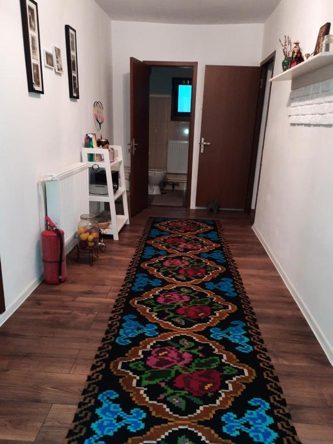 Casa Bunicilor Βίλα Ciprian Porumbescu Εξωτερικό φωτογραφία