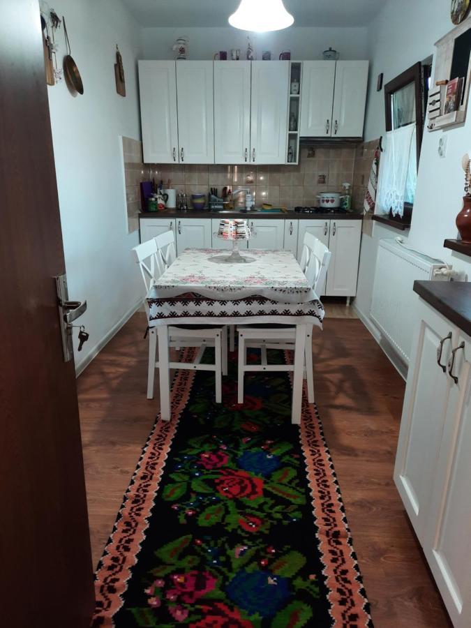 Casa Bunicilor Βίλα Ciprian Porumbescu Εξωτερικό φωτογραφία
