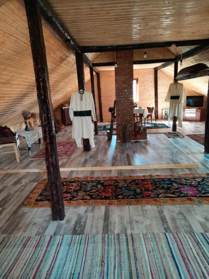 Casa Bunicilor Βίλα Ciprian Porumbescu Εξωτερικό φωτογραφία