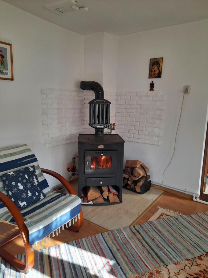 Casa Bunicilor Βίλα Ciprian Porumbescu Εξωτερικό φωτογραφία