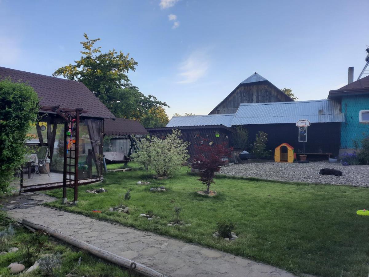 Casa Bunicilor Βίλα Ciprian Porumbescu Εξωτερικό φωτογραφία