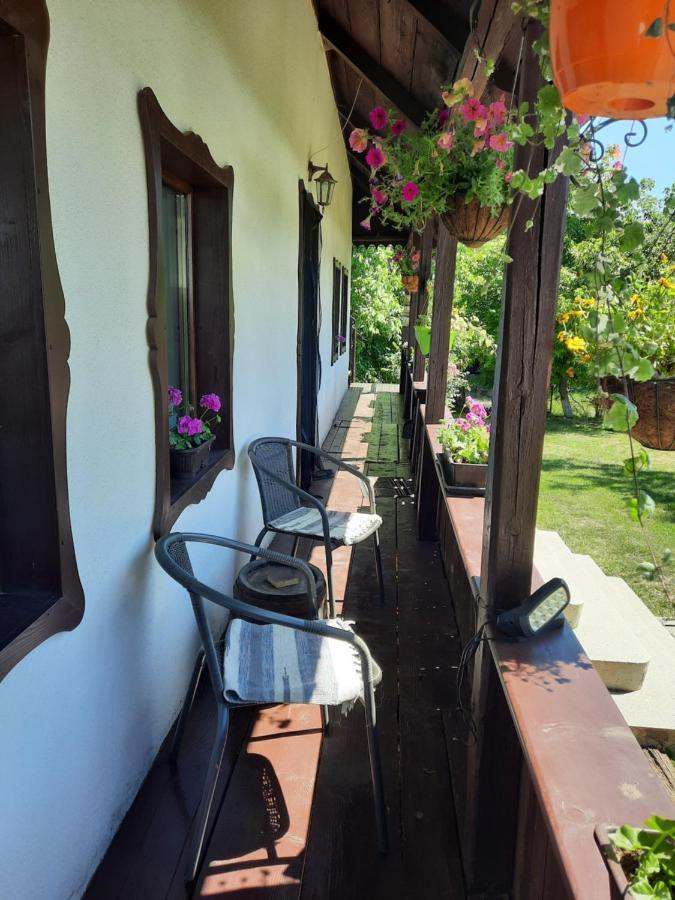 Casa Bunicilor Βίλα Ciprian Porumbescu Εξωτερικό φωτογραφία