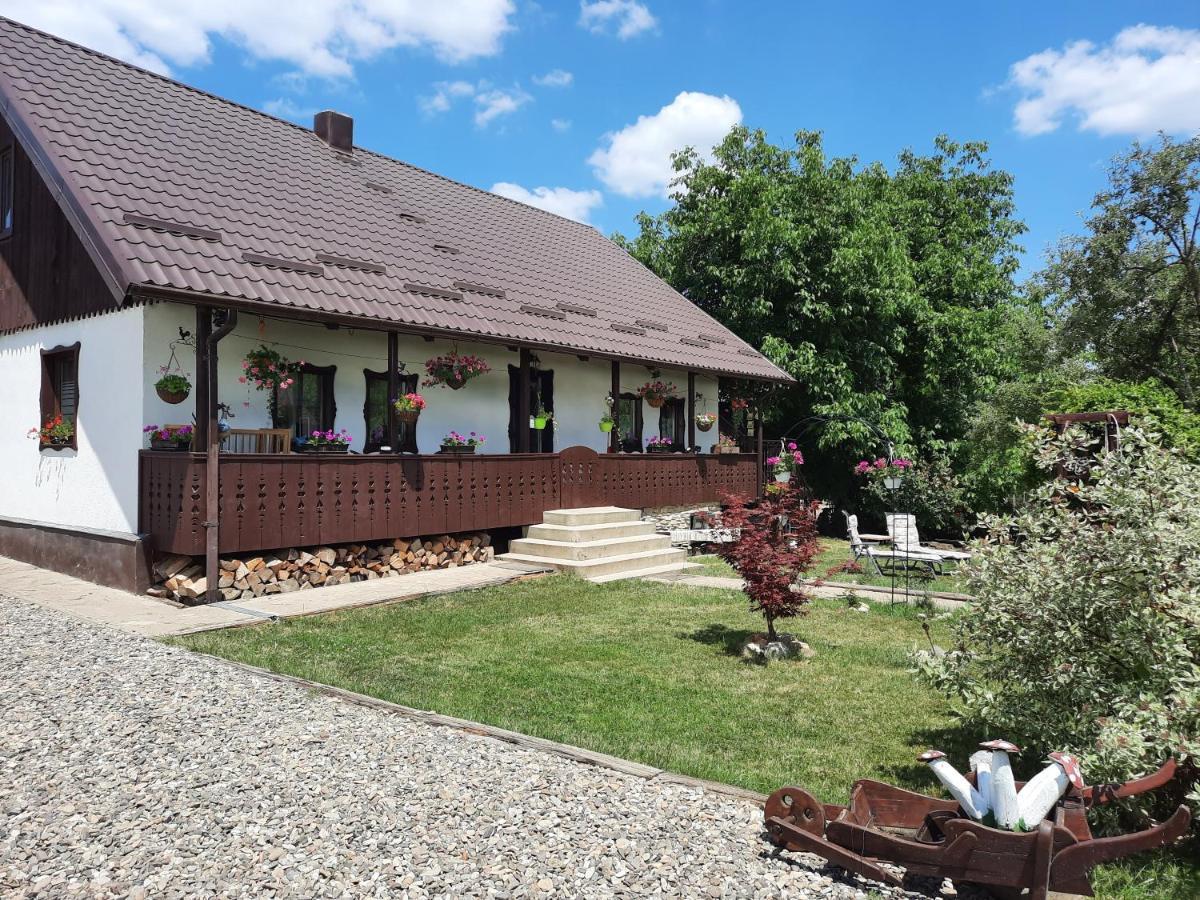 Casa Bunicilor Βίλα Ciprian Porumbescu Εξωτερικό φωτογραφία