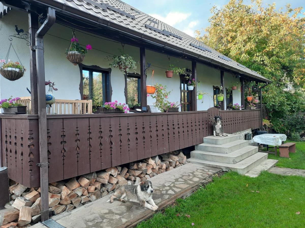 Casa Bunicilor Βίλα Ciprian Porumbescu Εξωτερικό φωτογραφία