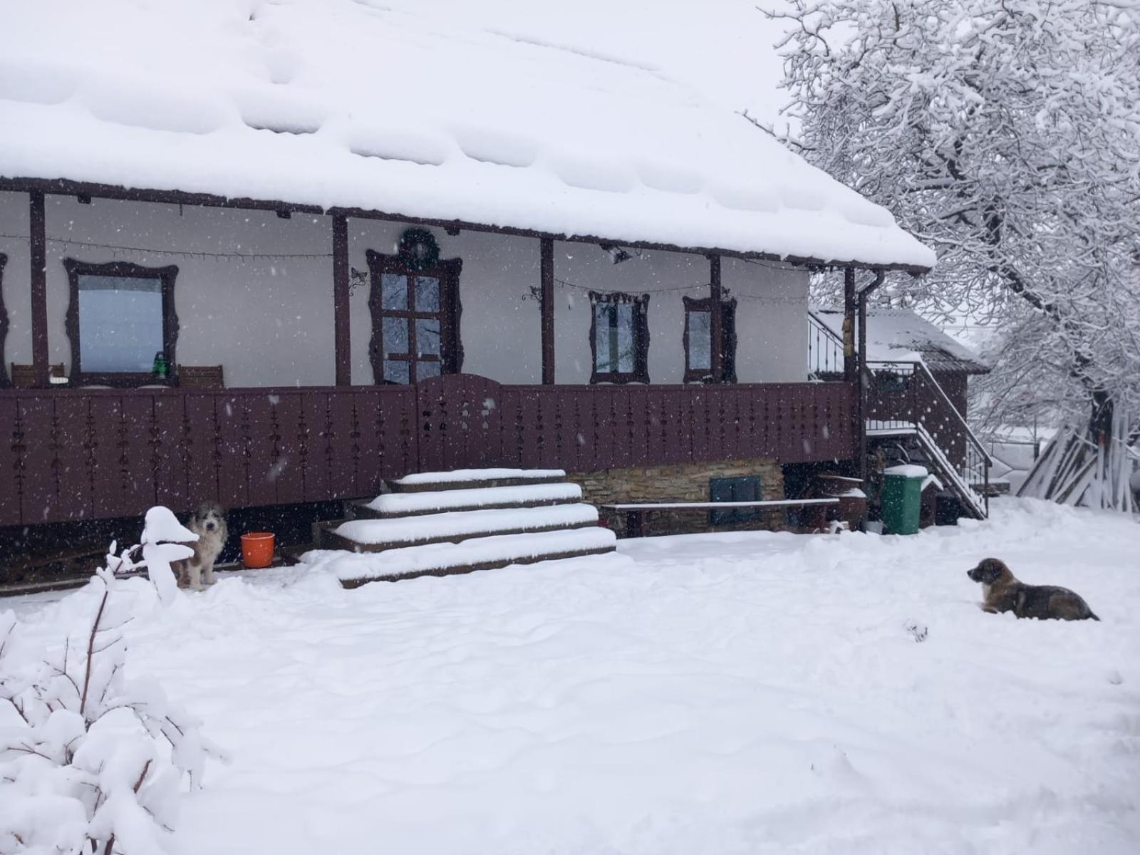 Casa Bunicilor Βίλα Ciprian Porumbescu Εξωτερικό φωτογραφία