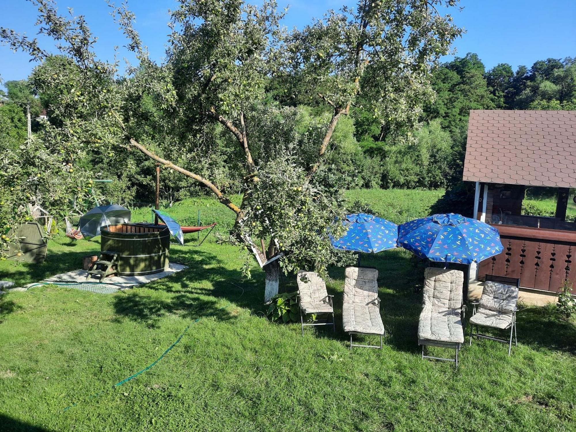 Casa Bunicilor Βίλα Ciprian Porumbescu Εξωτερικό φωτογραφία